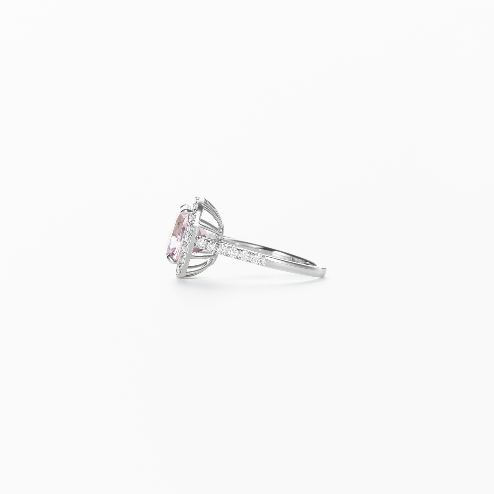 MILKY PINK – narin