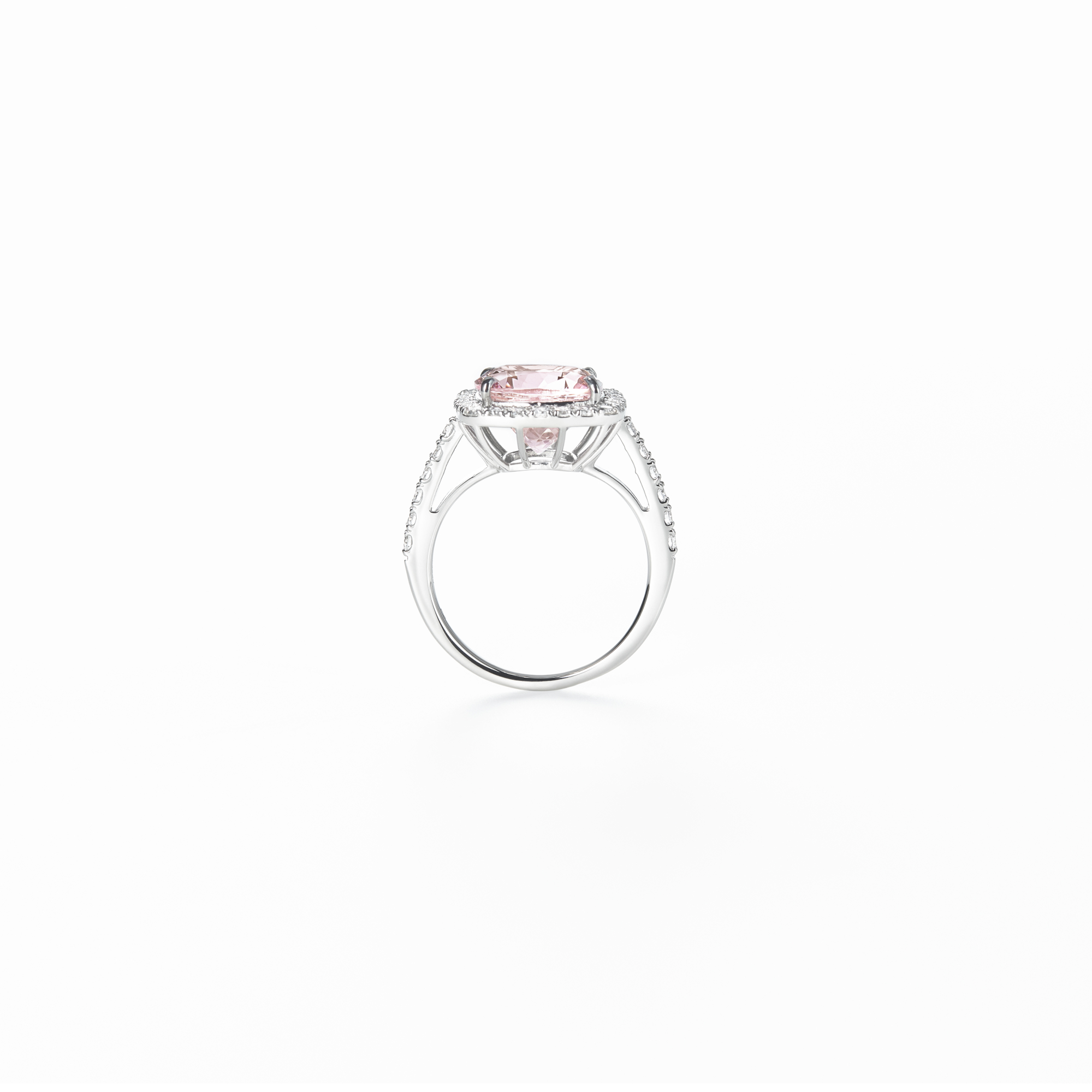 MILKY PINK – narin