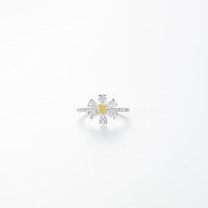 DAISY